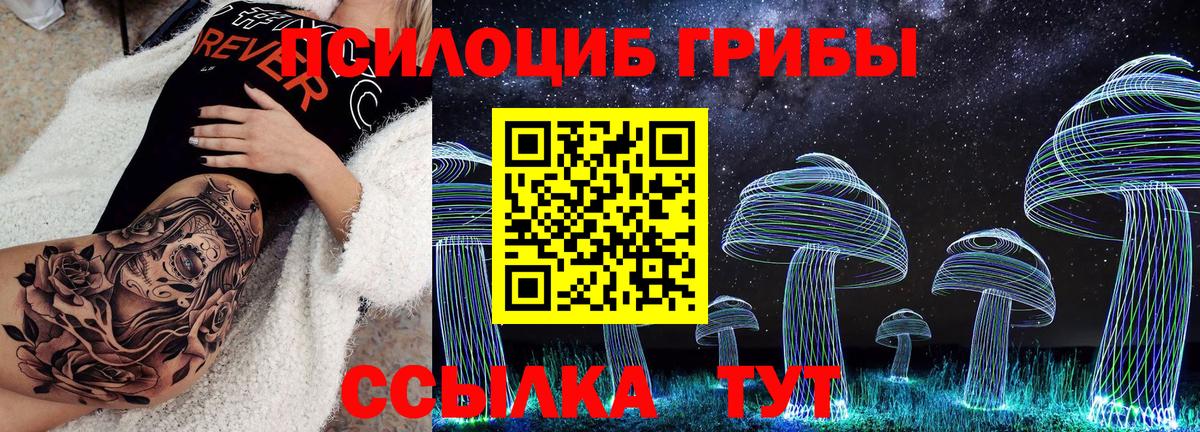 Псилоцибиновые грибы прущие грибы Красногорск