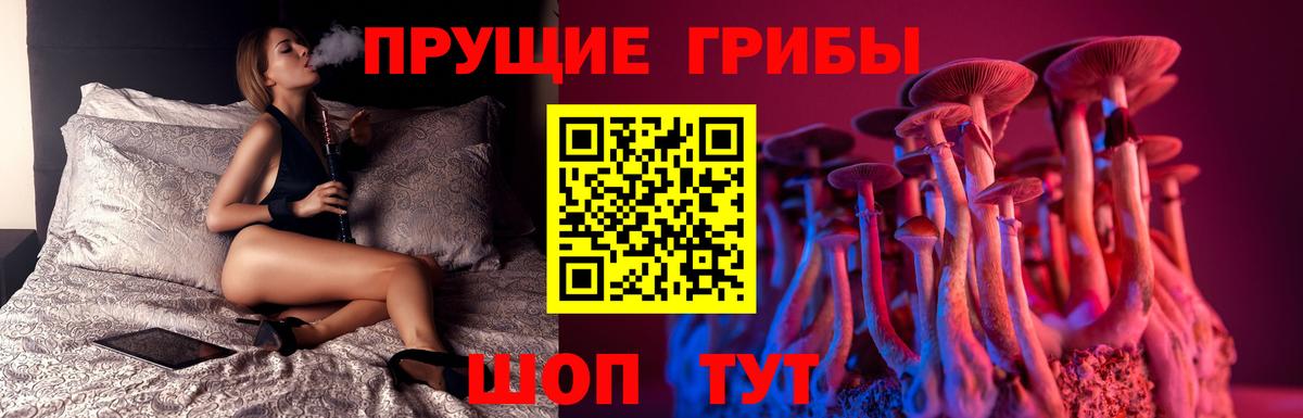А ПВП Красногорск